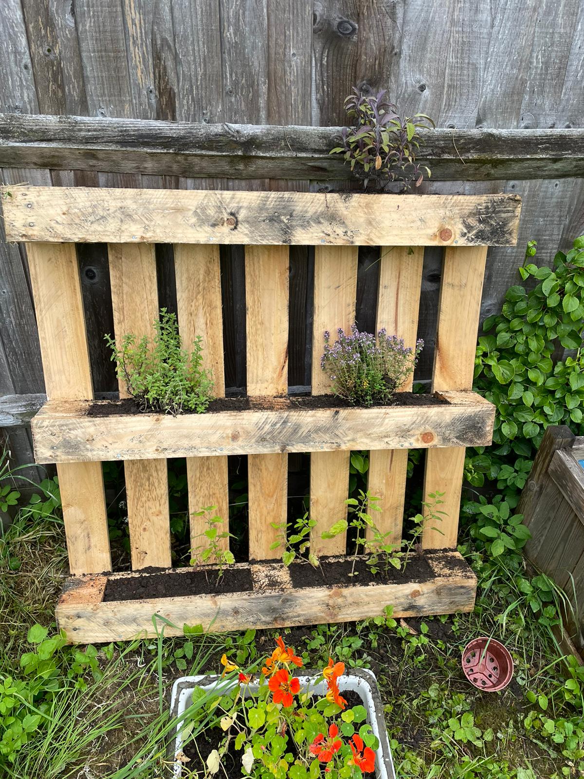 A really clever idea - herbs planted in a pallet