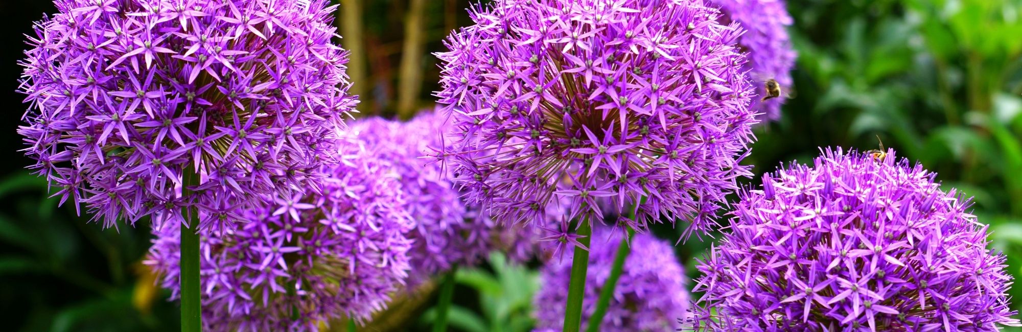 April Service Calendar*out now*full details