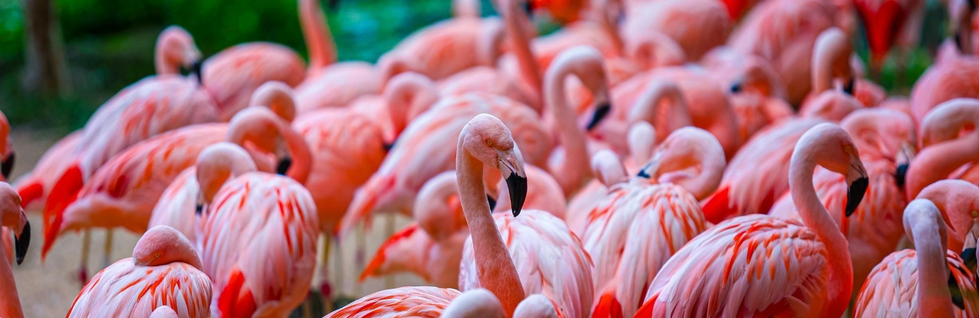 Lunch & APCM*Sunday 24th May*more details